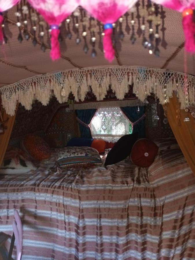 Апартаменти Git'An Perigord La Bohemienne Grolejac Екстер'єр фото
