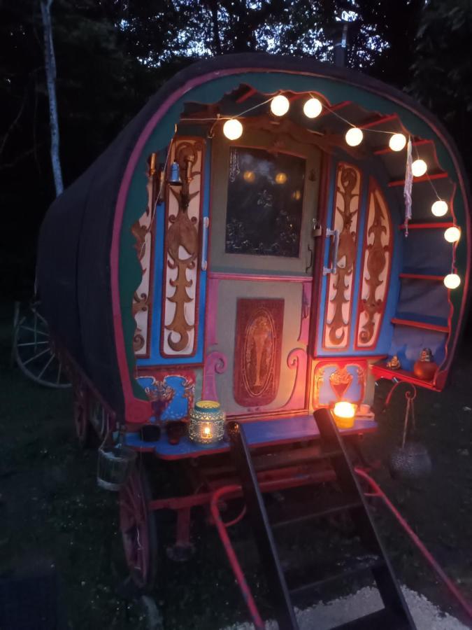 Апартаменти Git'An Perigord La Bohemienne Grolejac Екстер'єр фото